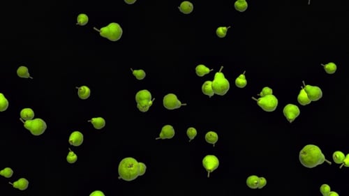 Seamless Loop Falling Green Pears Animation