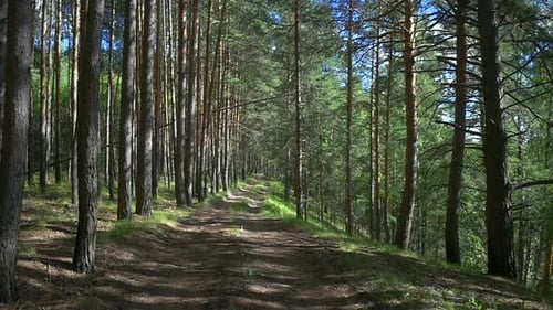 Waldstraße 2