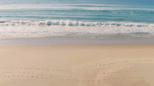 Aerial View Seascape with Waves