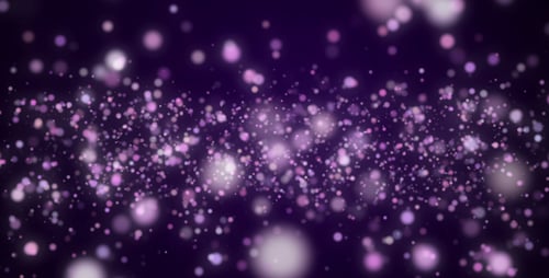Elegant Particles