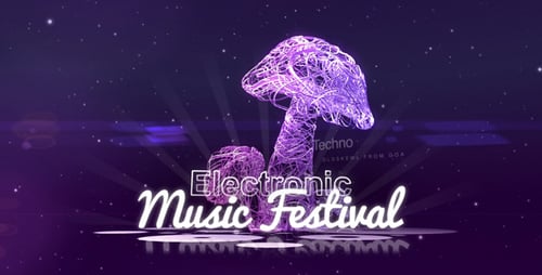 Electronic Music Festival