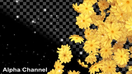 Golden Yellow Flowers with Sparkles Revealing Background Animation