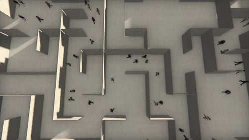 3D Overhead Animation of People Navigating a Maze
