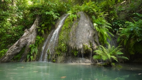 Tropical Waterfall Flowing into Pond Surrounded by Greenery