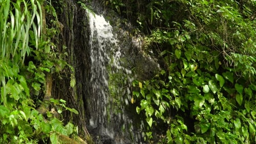 Beautiful Tropical Waterfall. Philippines Cebu Island