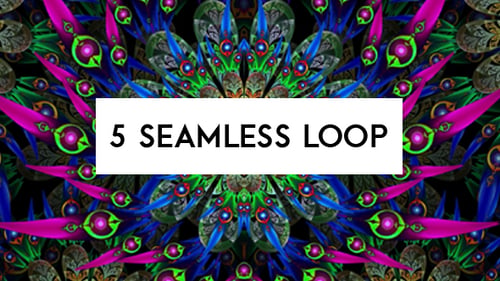 Peacock Ethnic Kaleido