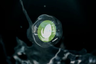 Water Splash Logo Reveal