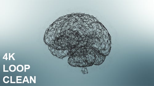 Cerebro de plexo limpio 4K