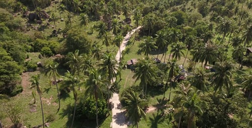 Estrada das Palmeiras