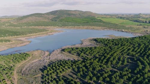 Aerial View Rural Landscape