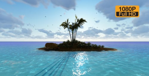 Island Palm and Birds