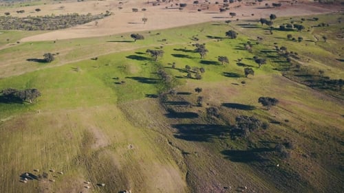 Aerial View Green Rural Landscape