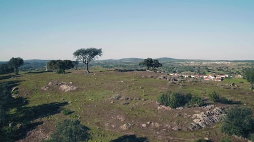 Aerial View Red Tiled Roofs Typical Village