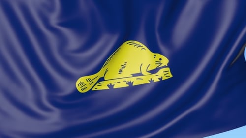 Wehende Flagge von Oregon Reverse State gegen blauen Himmel