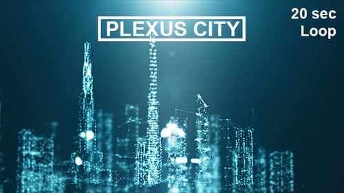 Plexus City #3