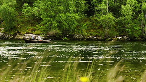 Hommes d'âge mûr pêchant sur la rivière nordique