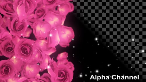 Event Blumen Rosen