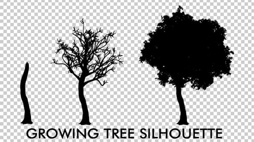 Animation mit wachsender Baum-Silhouette