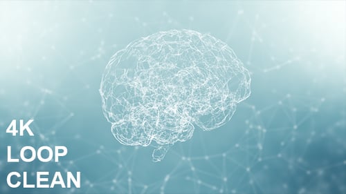 Cerebro de plexo limpio 4K #2