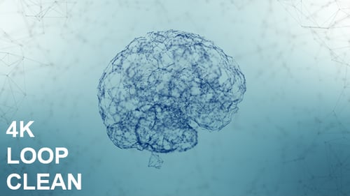 Cerebro de plexo limpio 4K #4