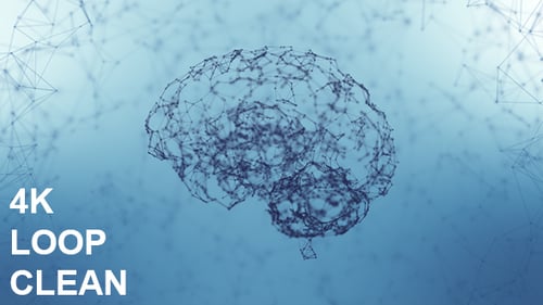 Cerebro de plexo limpio 4K #5