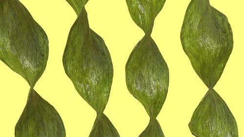 Organic Background Loop