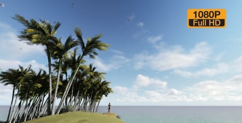 Palm Island and Alone Man