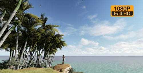 Palm Island