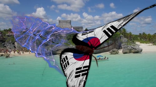 Mariposa de la bandera del sur de Corea, hermosa luz de partículas, vuelo en marcha