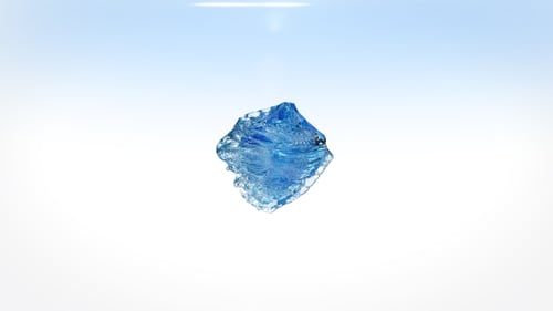 Blooming Liquid Logo Reveal