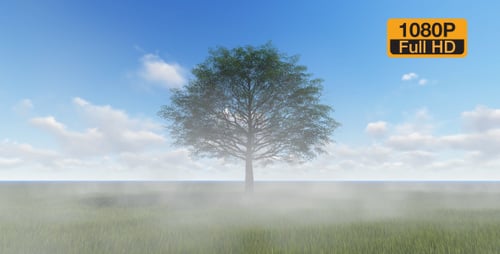 Tree and Fog