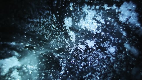 Blau Organic Motion