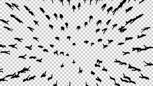 Overhead Silhouettes of People Walking and Forming Patterns