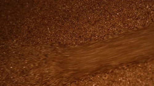 Grain flax sorting and grain cleaning