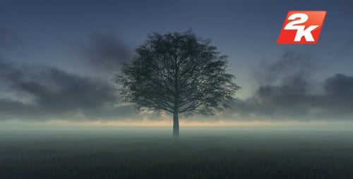 Tree and Time-lapse Clouds