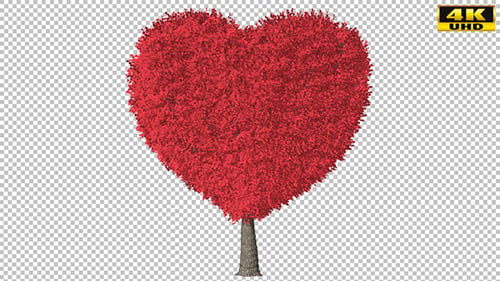 Herz-Baum