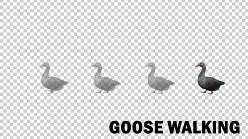 Farm Animals - Goose Walk