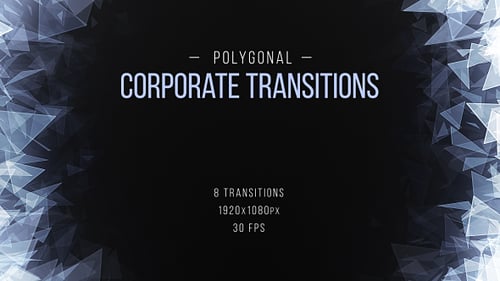 Polygonal Corporate Transitions