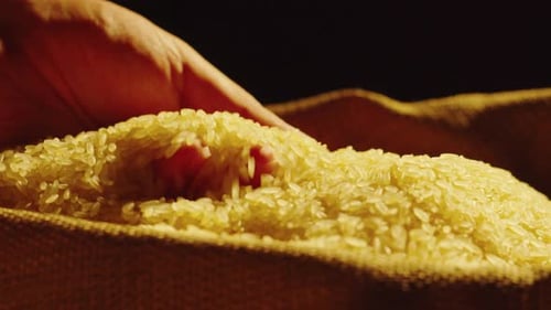Rice Texture Closeup