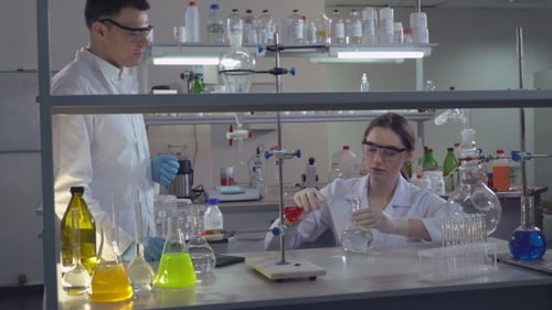 Study Team Working in Laboratory.