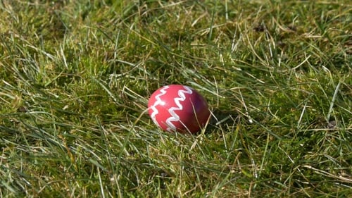 Decorated Easter Egg Sits in Green Grass
