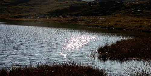 Ondulations sur un lac