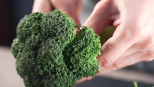 Chef Cooks Broccoli, Vegetable Meals and Dishes, Diet Food, Proper Nutrition, Healthy Cooking