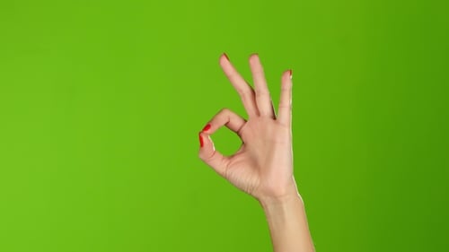 Sign Language. Girl Hand Shows Gesture Finger Okay, All Right