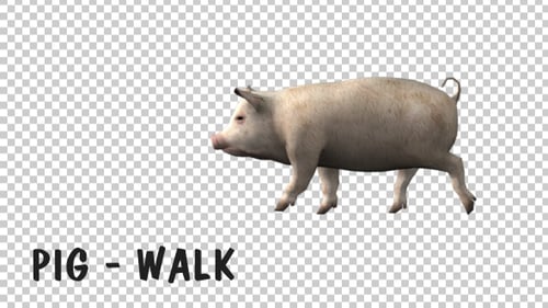 Pig Walk