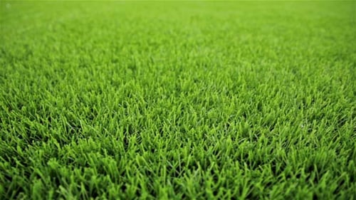 Grass Soccer Football Field