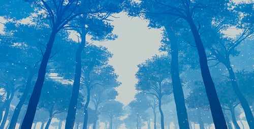 Journey Through The Murky Winter Forest