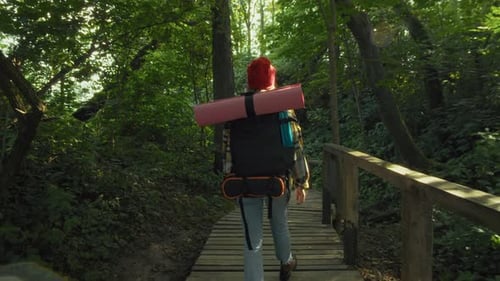 Travel blogger walk on wooden trail path in forest