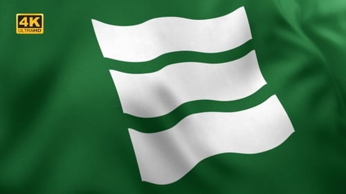 Animated Green Flag with White Wavy Lines