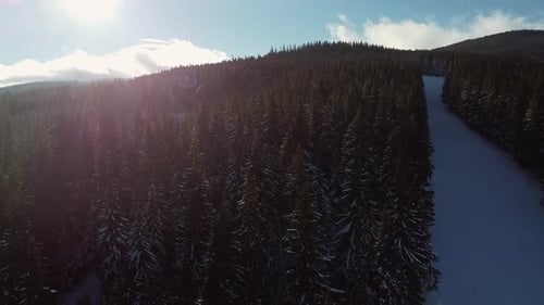 Aerial View of Ski Slope on a Sunny Winter Day in the Mountains, Wide, Drone Video, Winter Forest